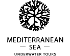 brand01